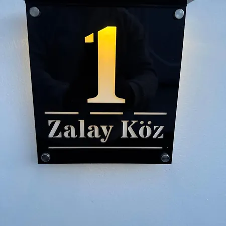 Marta Vendeghaz Дом отдыха Денешдиаш