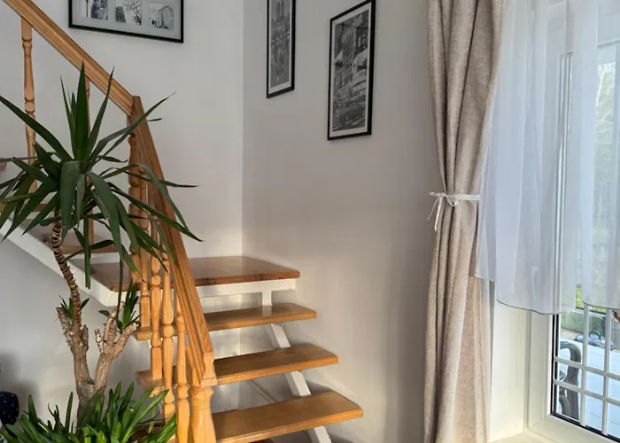 Marta Vendeghaz Prázdninový dům *